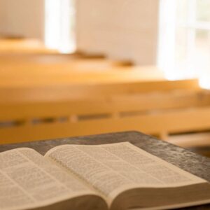 Demo - Orange Armchair